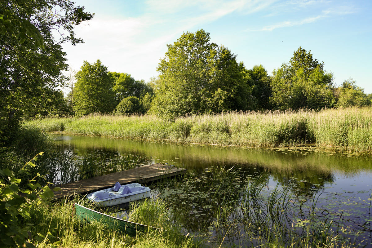 Vaizdas į kanalą nuo sodybos